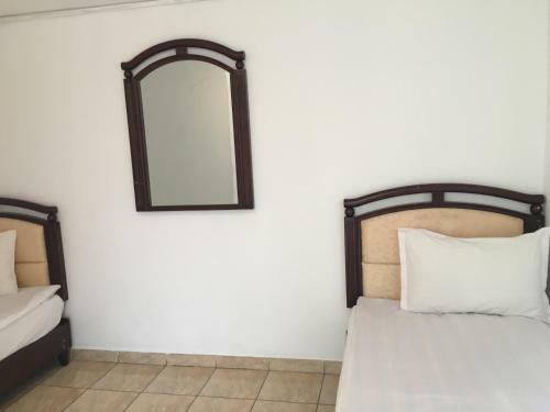 Hostal Blue Ivy Bungalows
