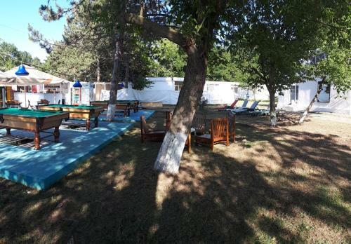 Hostal Blue Ivy Bungalows