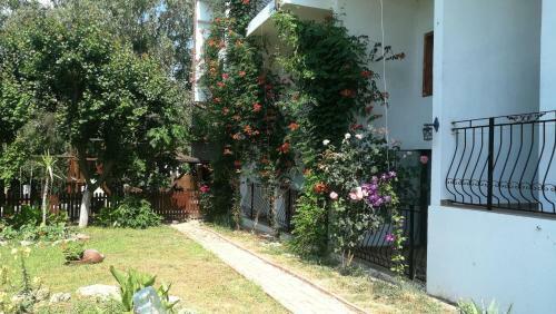 Hotel Mioara