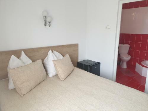 Hostal Pensiunea Ama