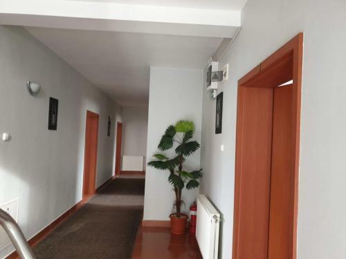 Hostal Pensiunea Ama