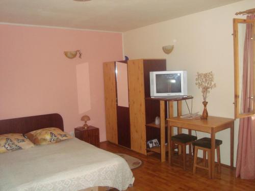 Hostal Pensiunea Nicky