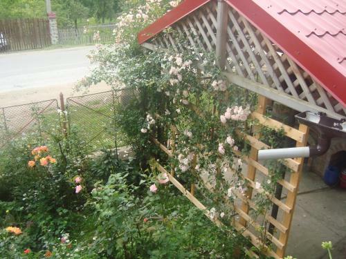 Hostal Pensiunea Nicky