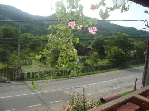 Hostal Pensiunea Nicky