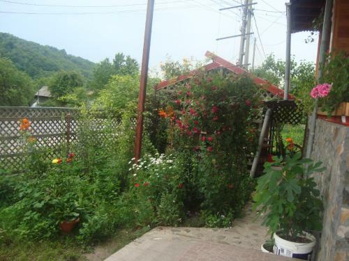 Hostal Pensiunea Nicky