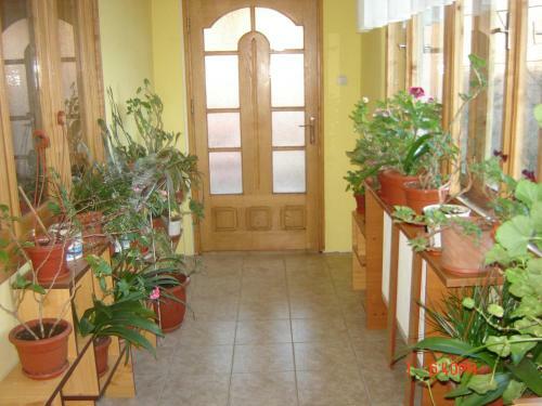 Hostal Pensiunea Nicky
