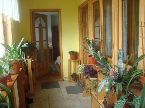 Hostal Pensiunea Nicky