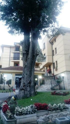 Apartman Crown