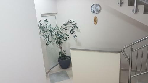 Airport View Apartment