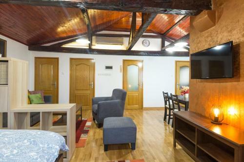 Belgrade Center Apartment V