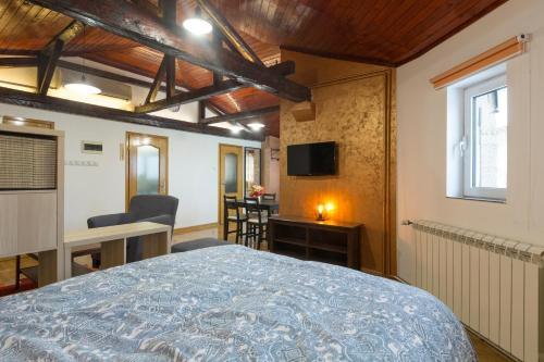 Belgrade Center Apartment V