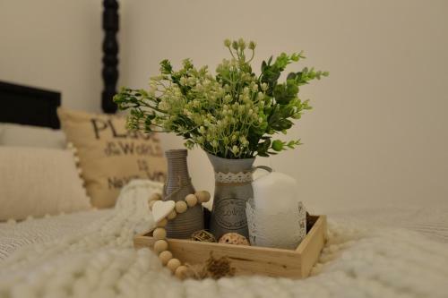 Farmhouse Apartment