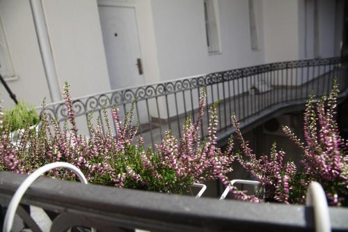 Al Mattina Apartments Belgrade
