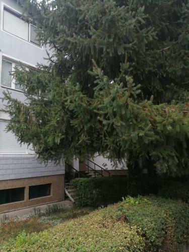 Apartment Viktor