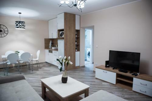 Urban City Apartment