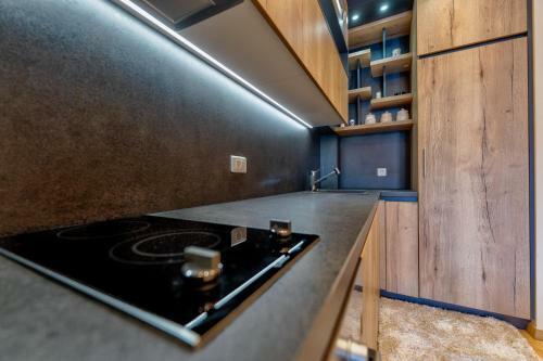Zlatibor Apartman Vida Lux