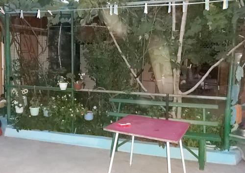 Hostal ?????????