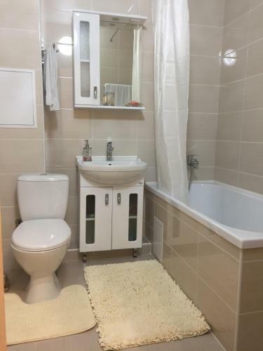 Apartment Pionerskiy Prospect 57/3