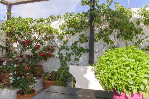 Hostal Kalypso Studios & Rooms