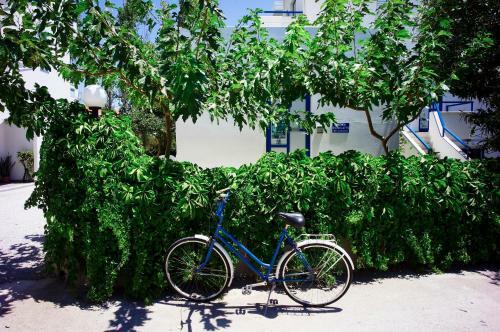 Anthea Apartments