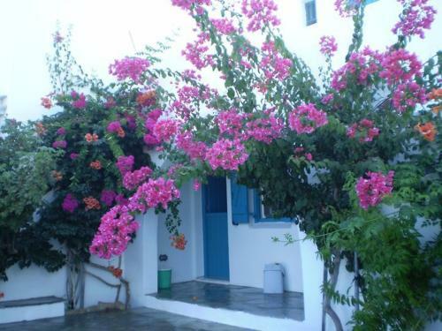 Apartamento Kolona Studios