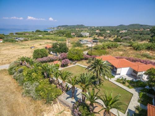 Apartamento Pavlimari Studios