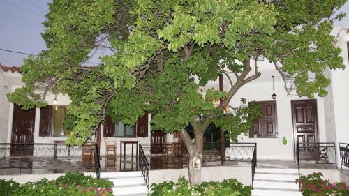 Apartamento Pavlimari Studios