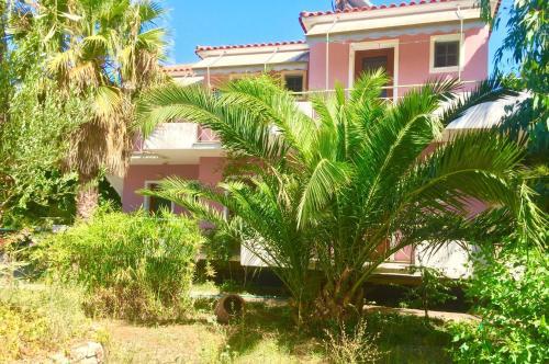 Apartamento Ionos