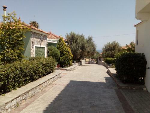 Art Lesvos Villas