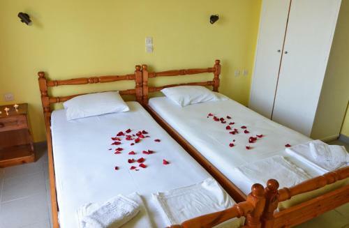 Apartamento Belvedere Zakynthos Studios