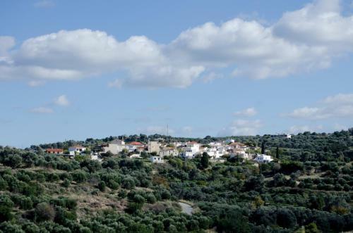 Iperion Apartment G2-2
