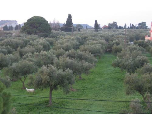 Apartamento Gerani