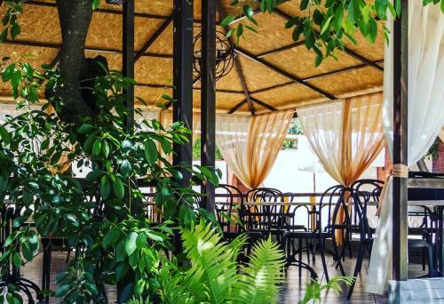 Hostal Guest House Artemida