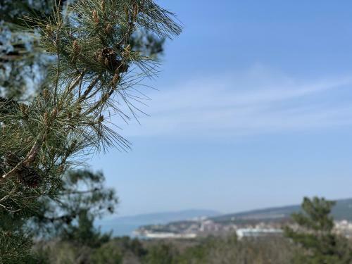Hostal "le Sea" Hotel And Park