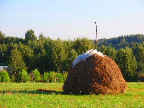Eco Hotel Noviy Kovtcheg