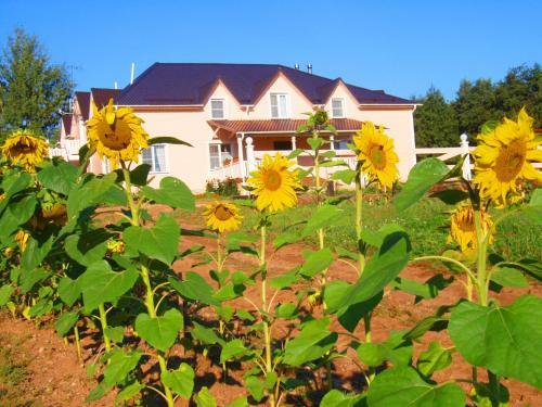 Eco Hotel Noviy Kovtcheg