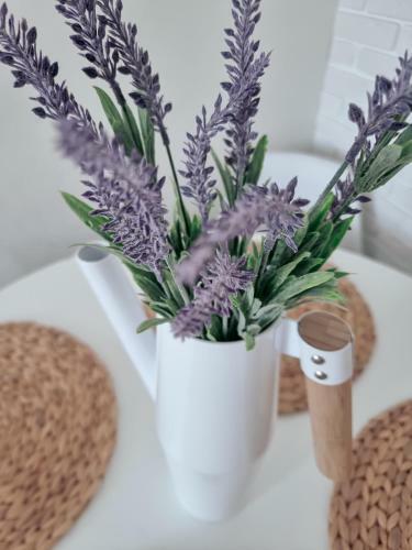 Apartamento Altay Home