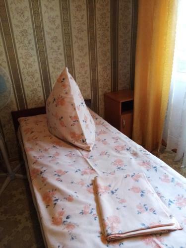 Liudmila Homestay