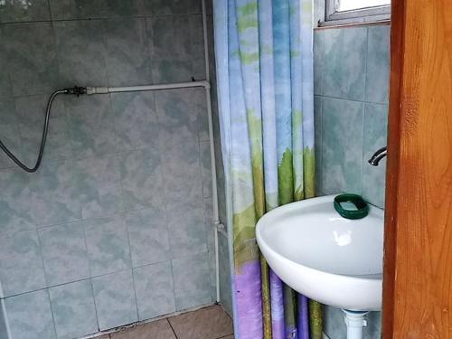 Liudmila Homestay