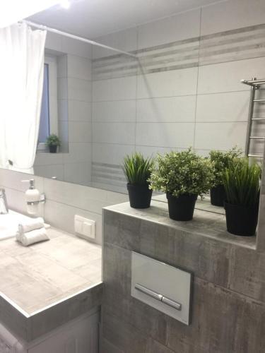 Apartamento ???????? ? ????????.