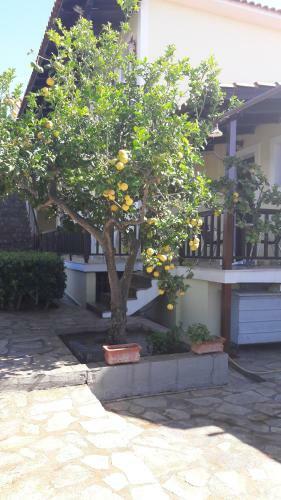 Apartamento Villa Clelia