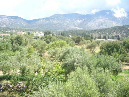 Apartamento Eleftheria Studios