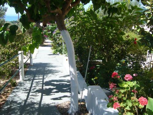 Apartamento Eleftheria Studios