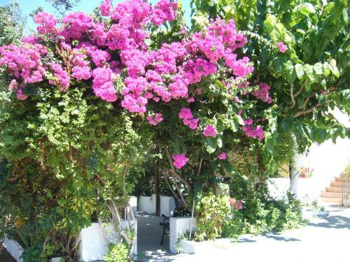 Apartamento Eleftheria Studios