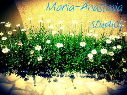 Apartamento Maria Anastasia Studios
