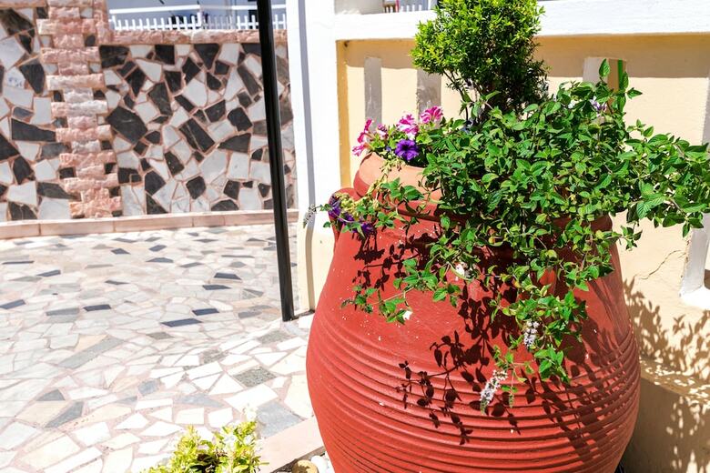 Erato Hotel Apartments
