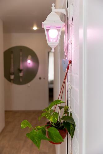 Botanika Hostel