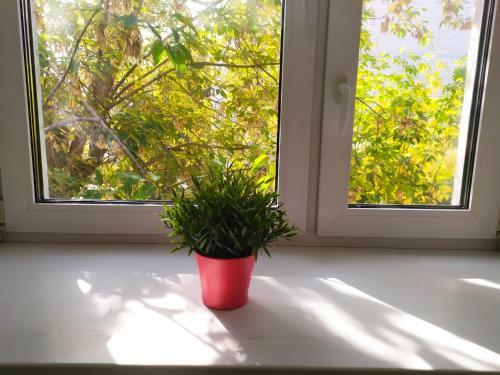 Apartamento ??????????? ?? ????????