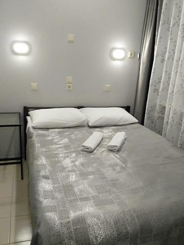 Posada Druzhba Mini Hotel