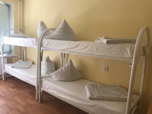 Eco Hostel Sheremetyevo